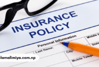 Insurance Policy: Everything You Need to Know in 2025