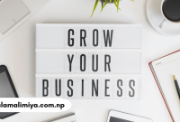 Unlocking the Power of an Offshore Development Partner for Your Business