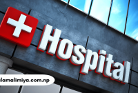 The Ultimate Guide to Hospitals: What You Need to Know