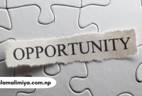Unlocking Opportunity: How to Spot, Seize, and Succeed in Every Chance Life Offers